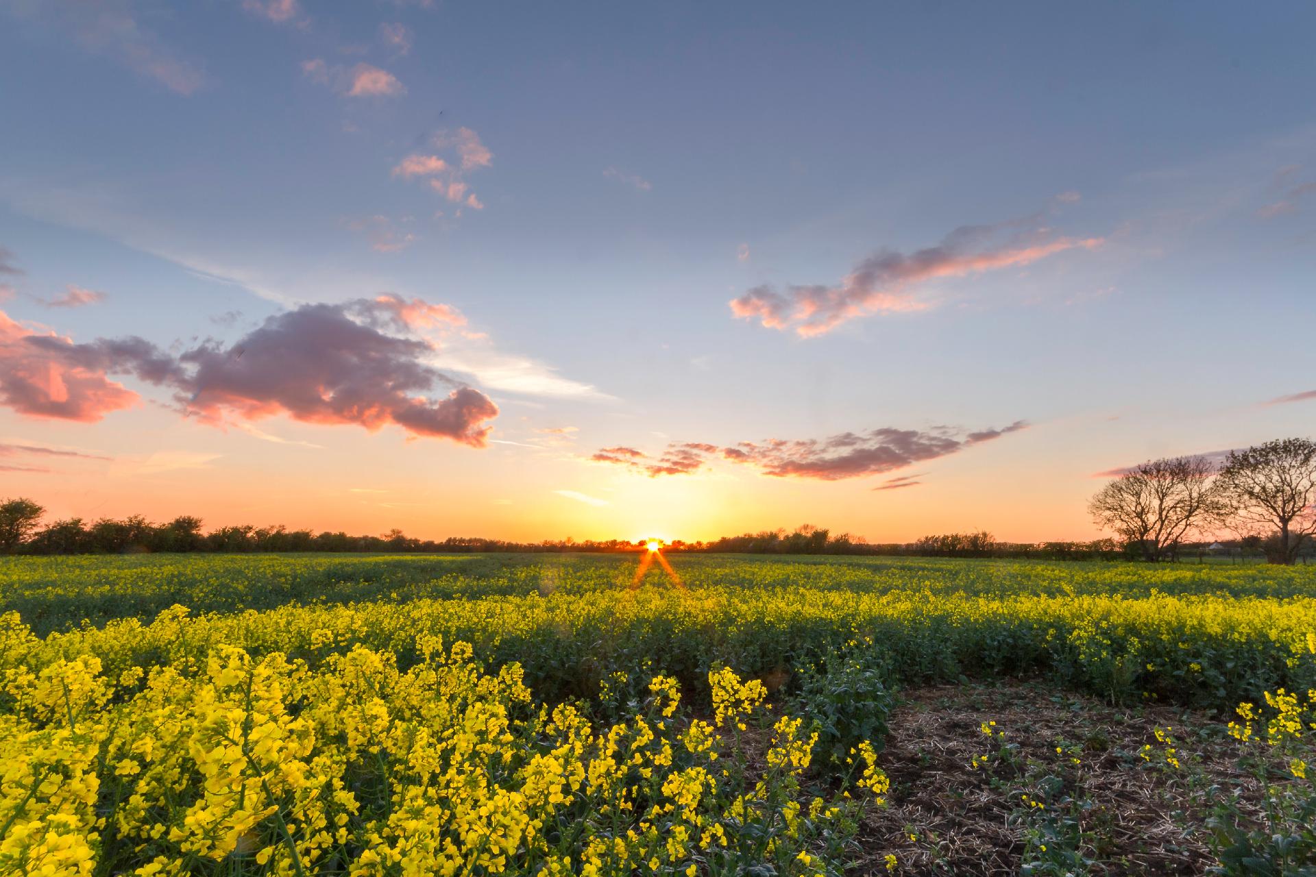 East Midlands countryside